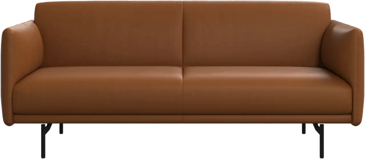 2,5 местный диван Berne 