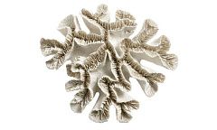 Скульптура Bali