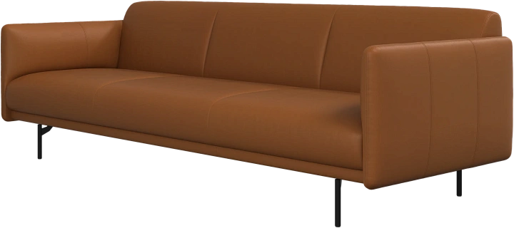 3-х местный диван Berne 