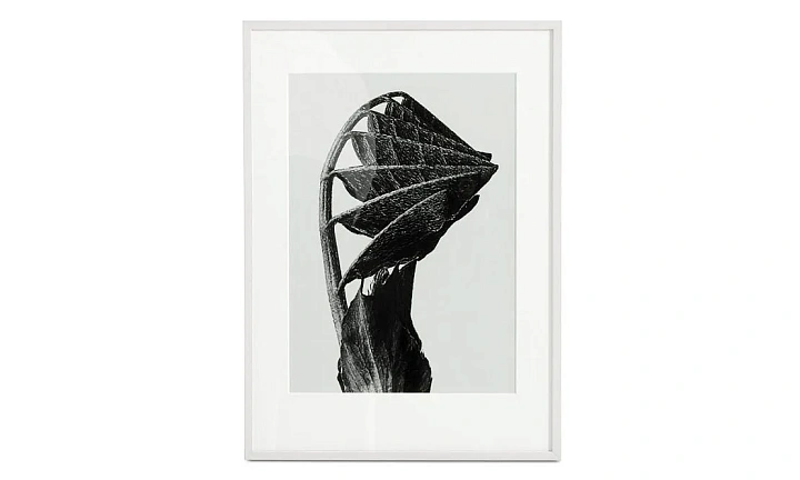 Картина Nature Form