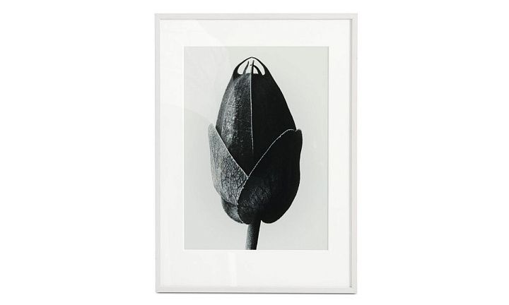 Картина Passion Flower