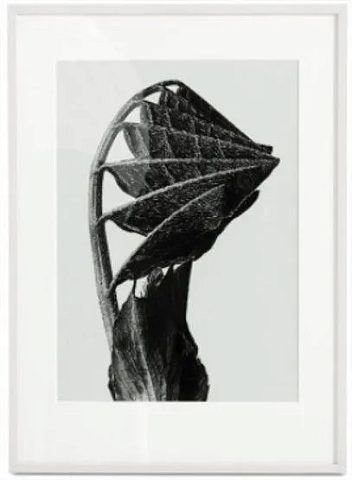 Картина Canadian Burnet