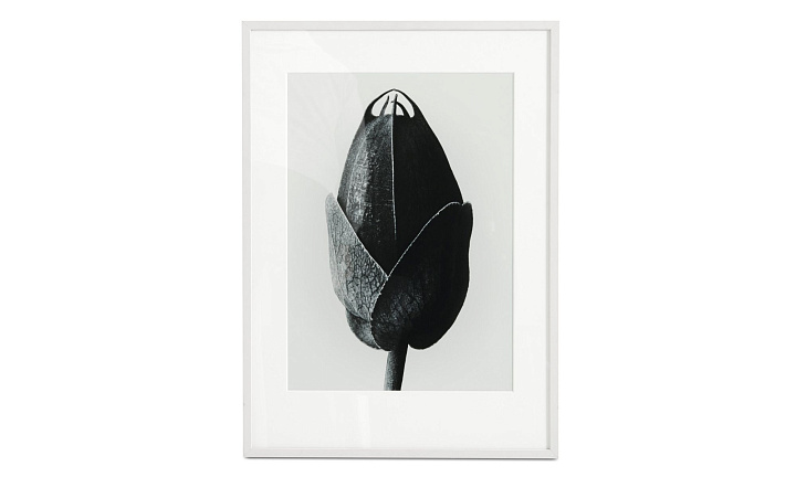 Passion Flower -  Под заказ